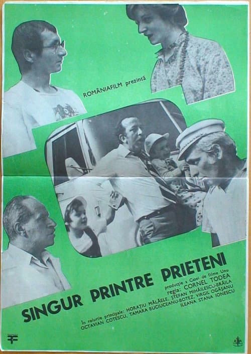 Afiche de Singur printre prieteni