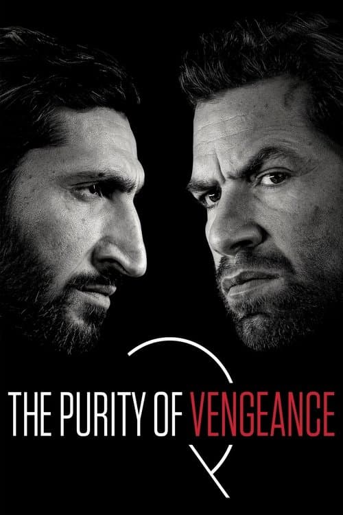 Afiche de The Purity of Vengeance