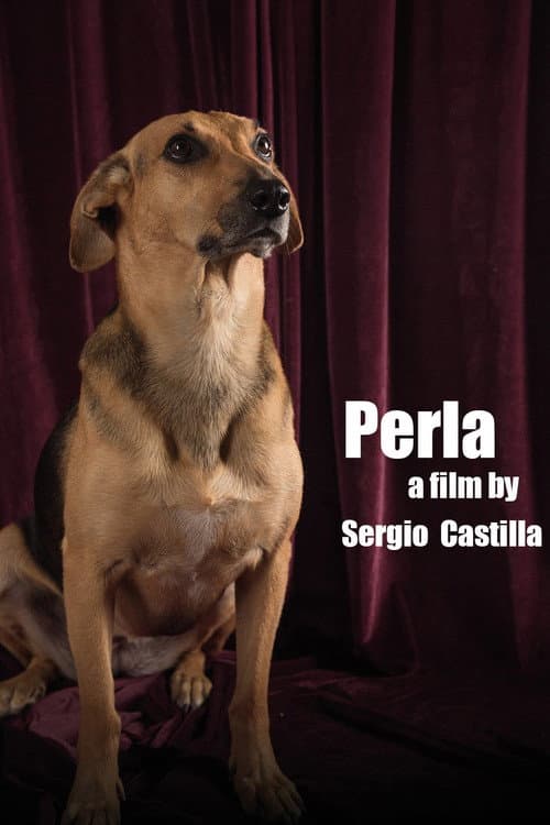 Afiche de Perla