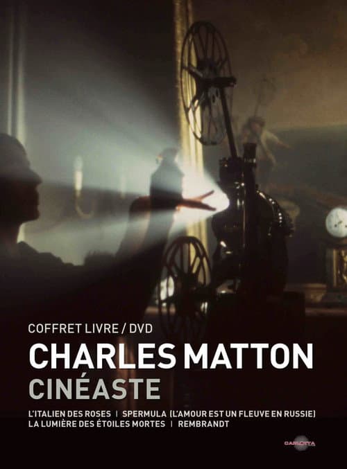 Afiche de Charles Matton visiblement
