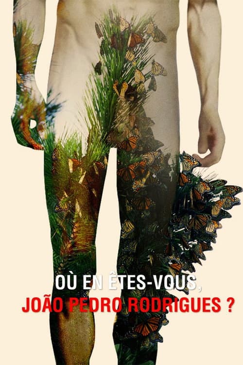 Afiche de Où en êtes-vous, João Pedro Rodrigues ?