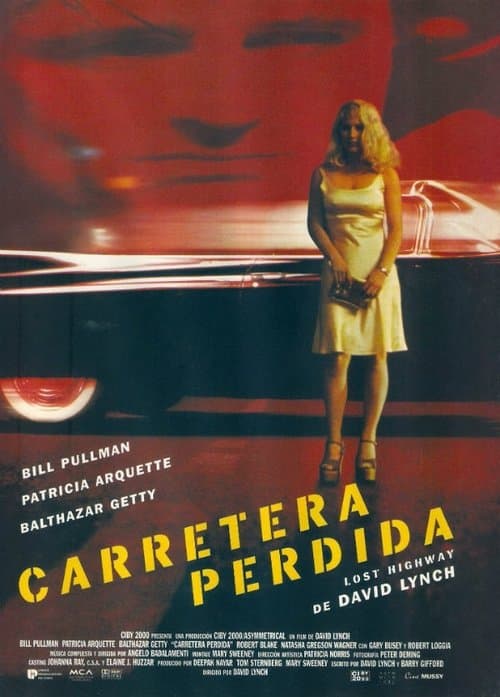 Afiche de Carretera perdida