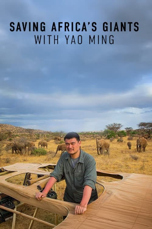 Afiche de Saving Africa's Giants With Yao Ming