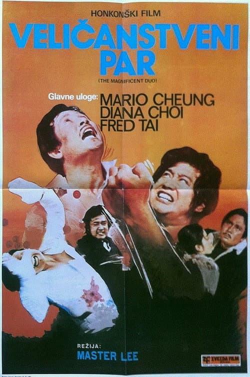 Afiche de El magnífico dúo