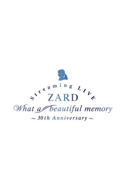 Afiche de What a beautiful memory ~30th anniversary