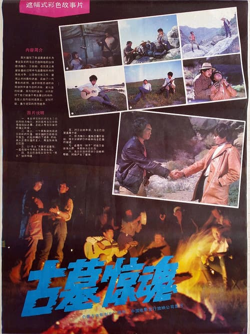 Afiche de 古墓惊魂