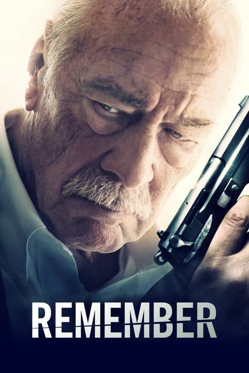 Afiche de Remember