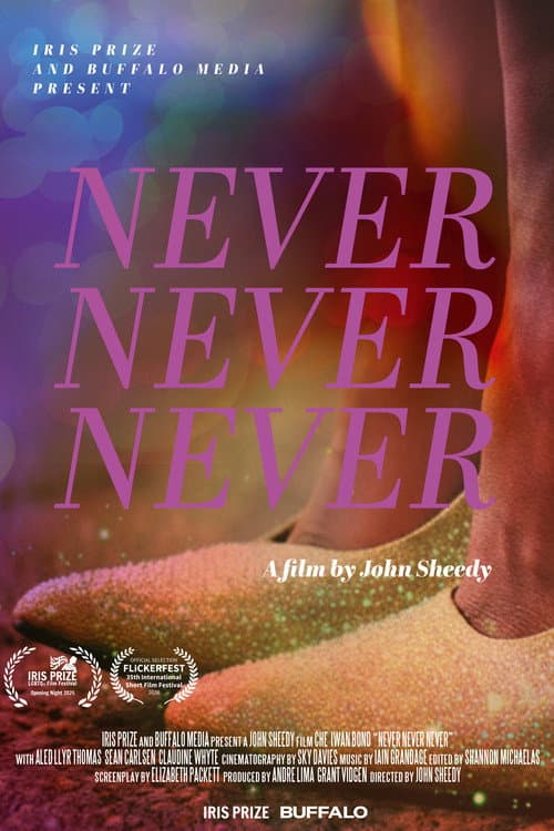 Afiche de Never Never Never