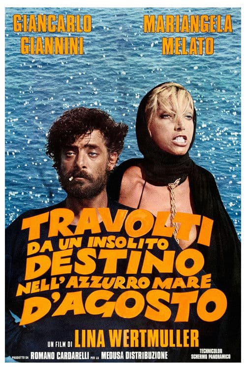 Afiche de Insólita aventura de verano