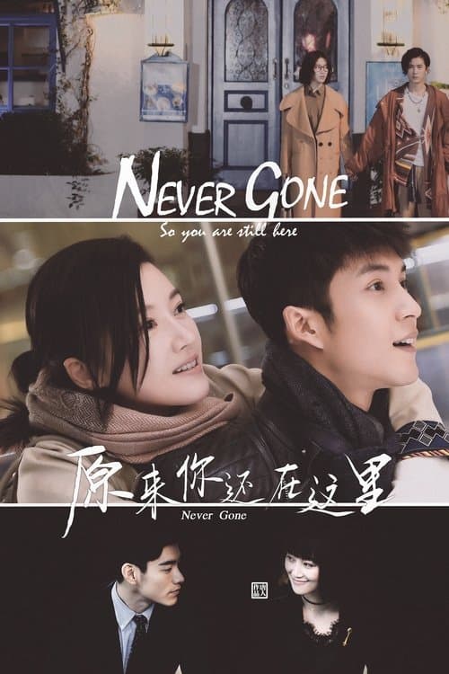 Afiche de Never Gone