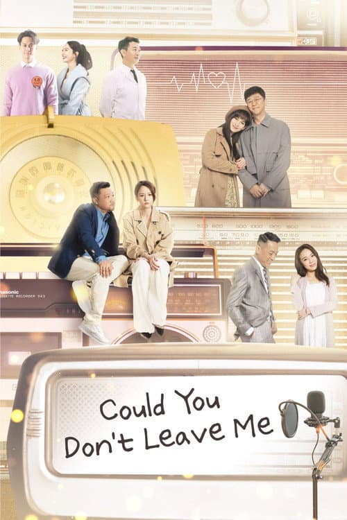 Afiche de Could You Don't Leave Me