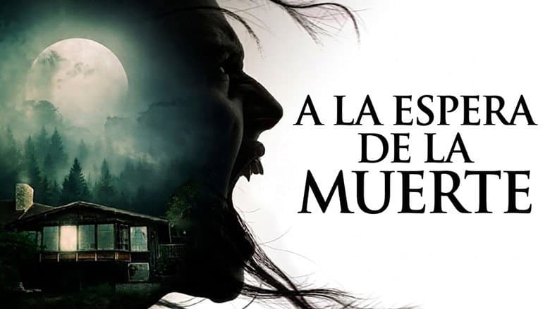 Imagen 8