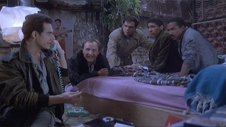 Imagen 7