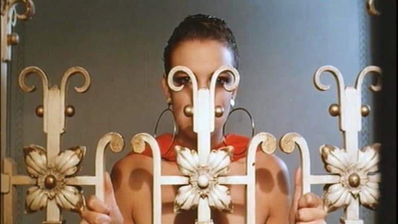 Imagen 7
