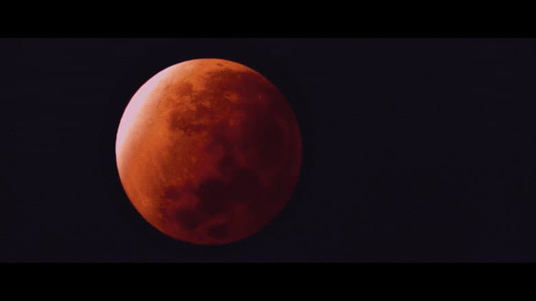 Imagen 8