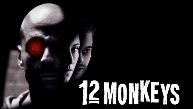 Imagen 8