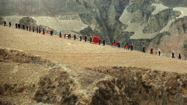 Imagen 6