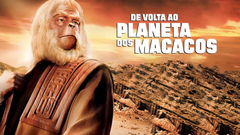 Imagen 8