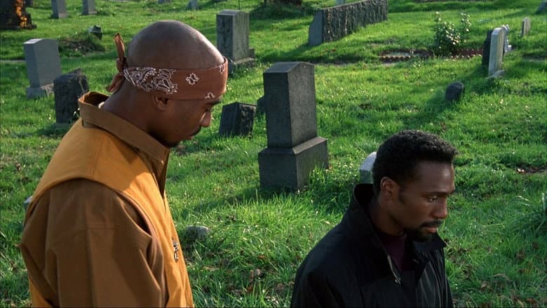 Imagen 6