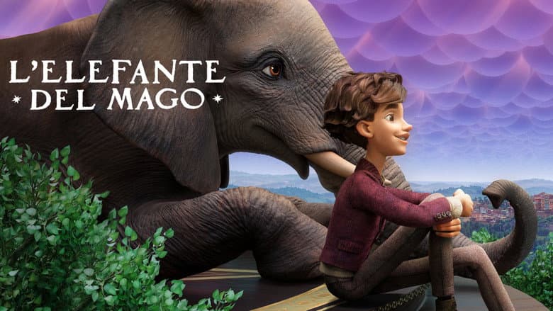 Imagen 5