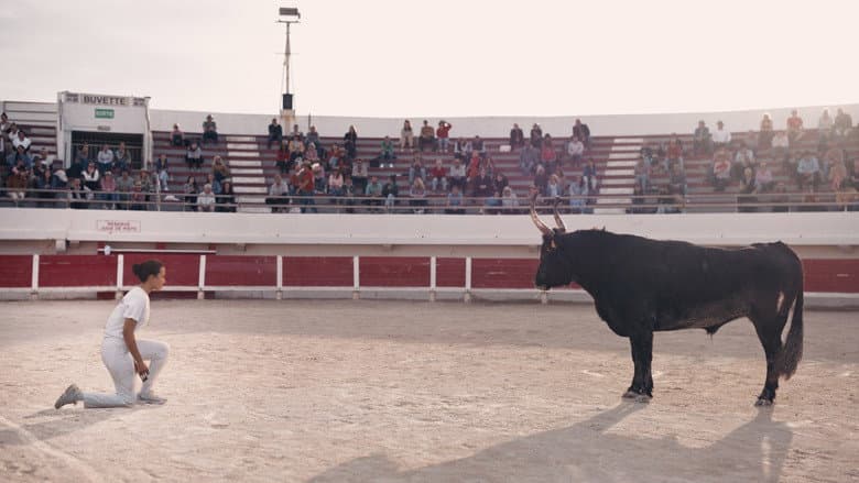 Imagen 5