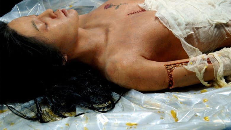 Imagen 2