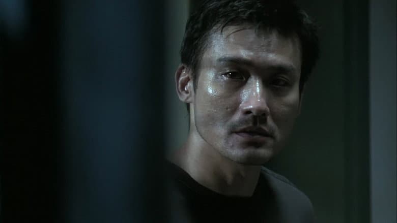 Imagen 2