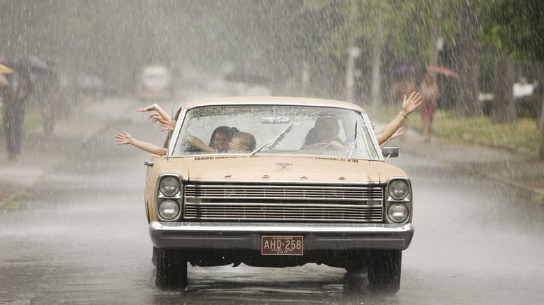 Imagen 8