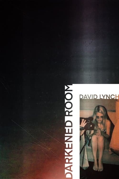 Afiche de Darkened Room