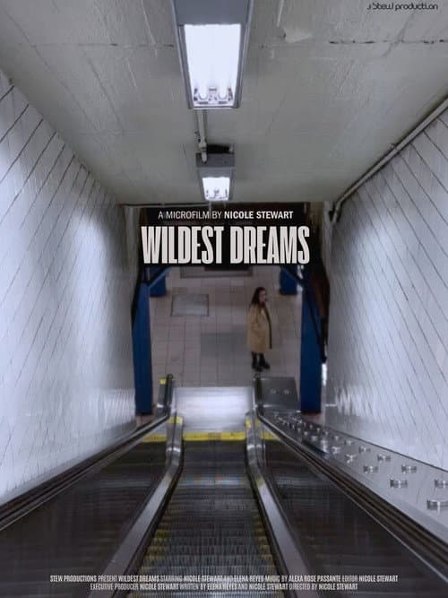 Afiche de Wildest Dreams