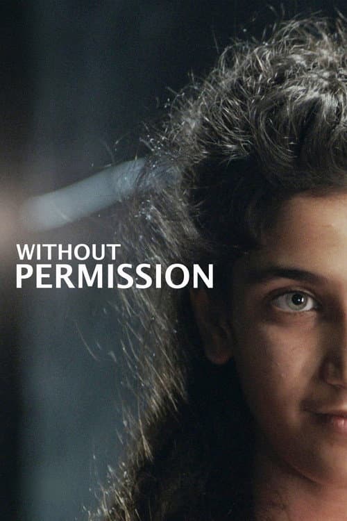 Afiche de Without Permission