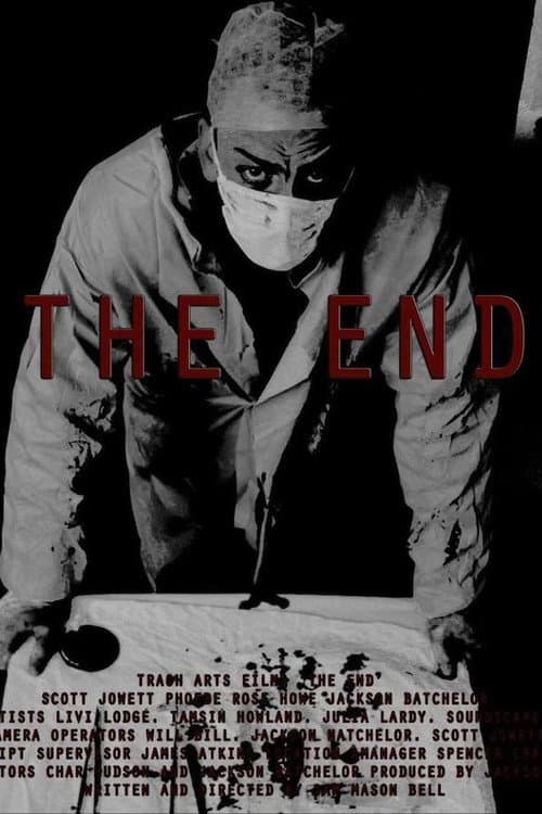 Afiche de The End