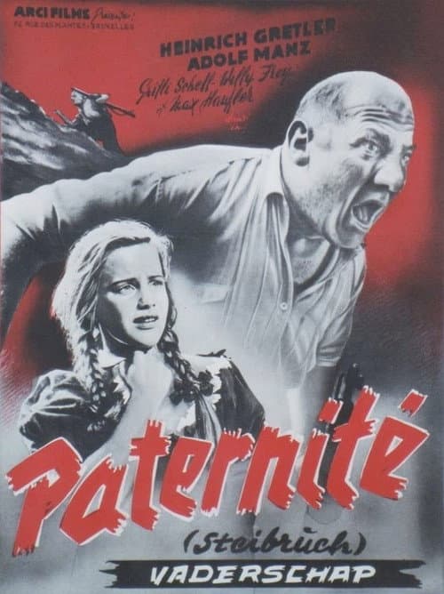 Afiche de Steibruch