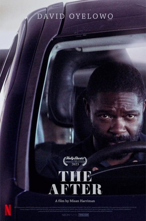 Afiche de The After