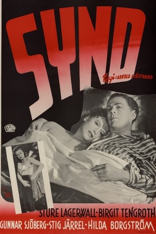 Afiche de Synd