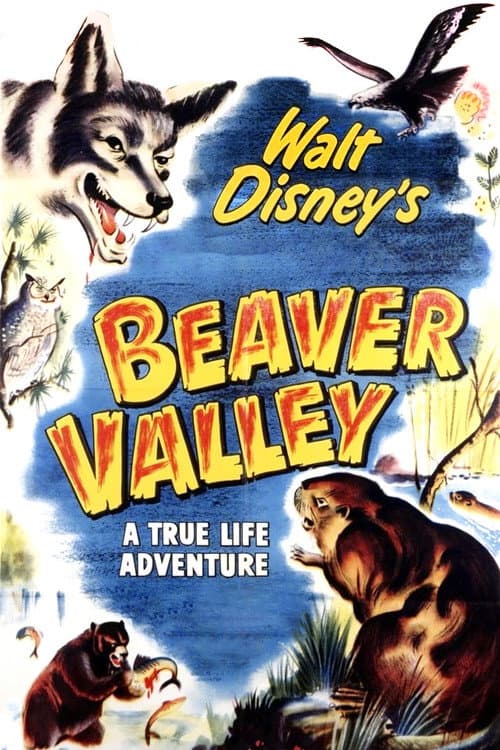 Afiche de Beaver Valley