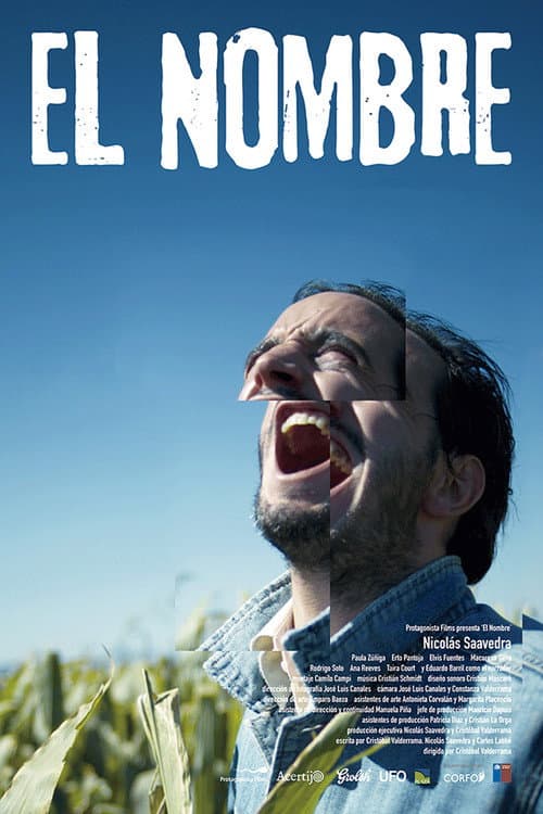 Afiche de El nombre