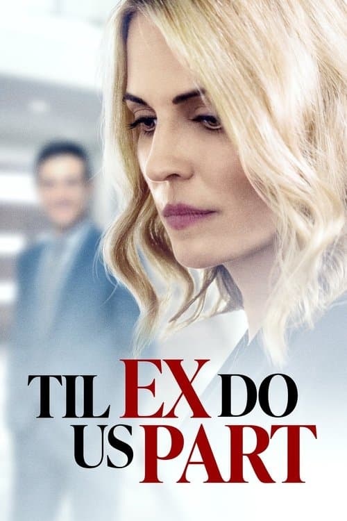 Afiche de La intrusa
