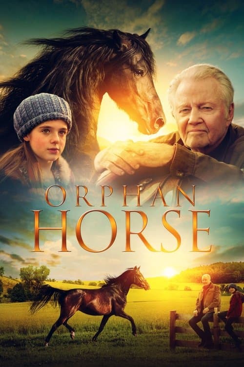 Afiche de Orphan Horse