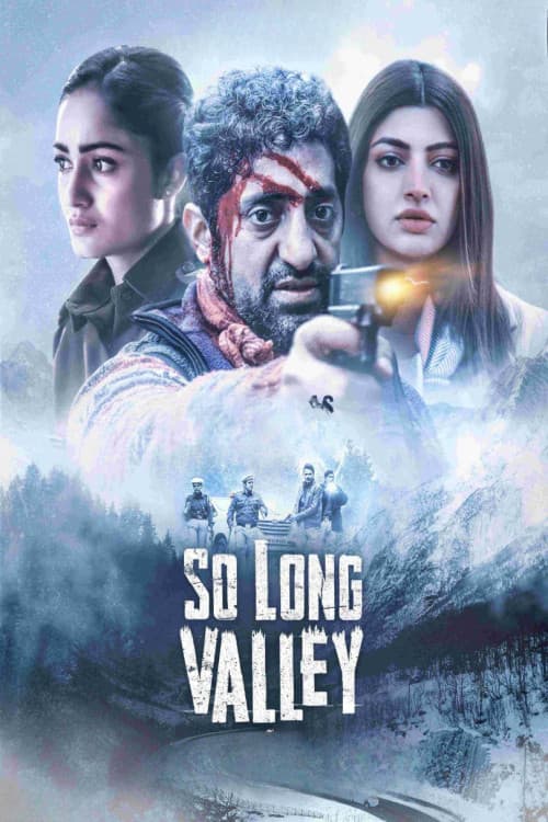 Afiche de So Long Valley