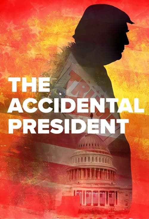 Afiche de The Accidental President