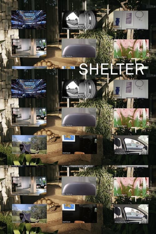 Afiche de Shelter