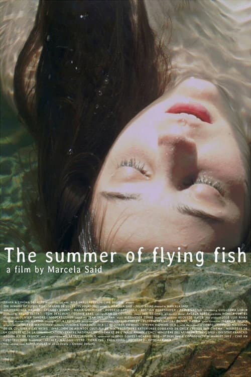 Afiche de The Summer of Flying Fish