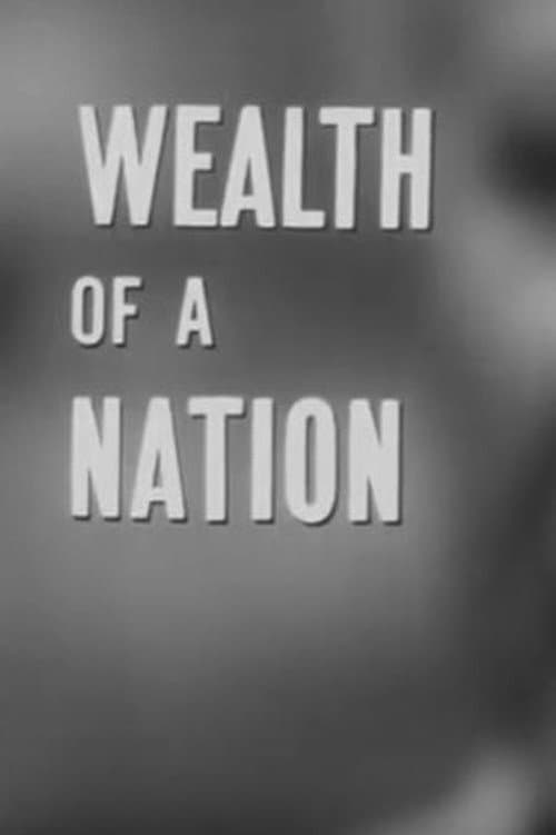 Afiche de Wealth of a Nation