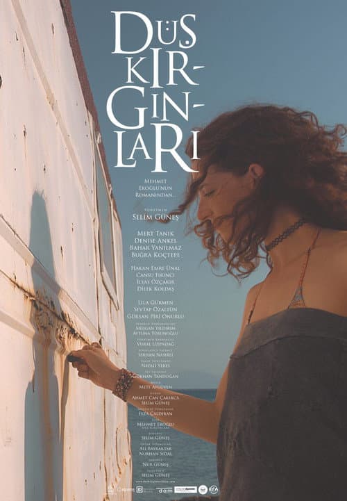 Afiche de Düş Kırgınları