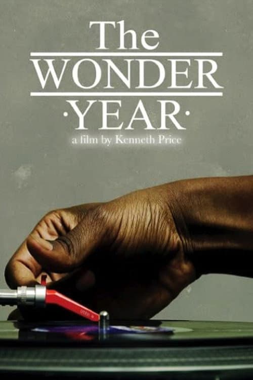Afiche de The Wonder Year