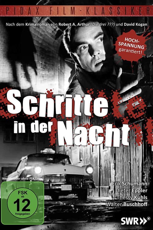Afiche de Schritte in der Nacht