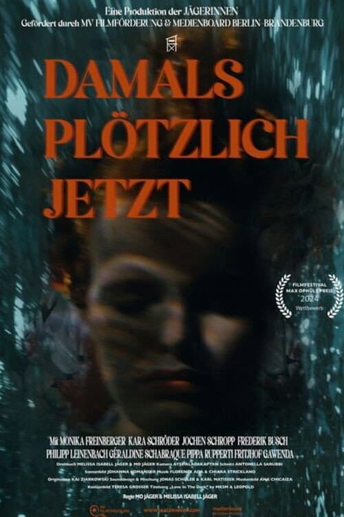 Afiche de Damals plötzlich jetzt
