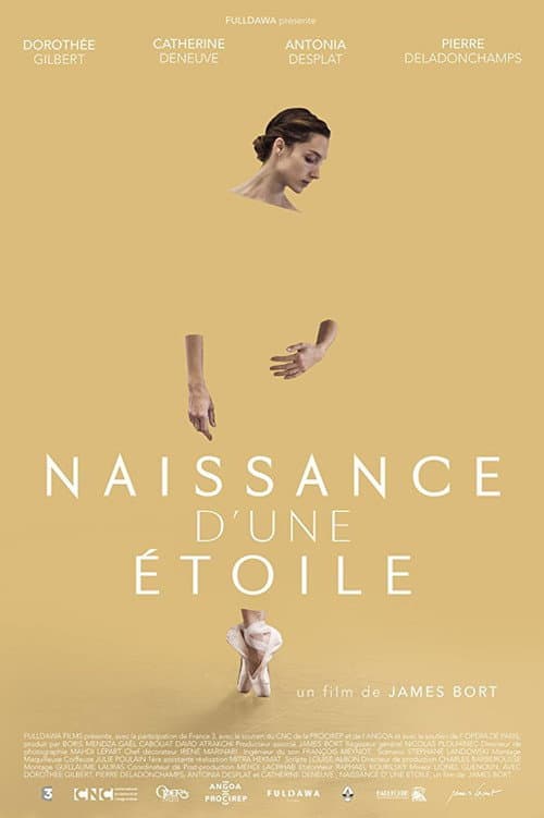Afiche de Naissance d'une étoile