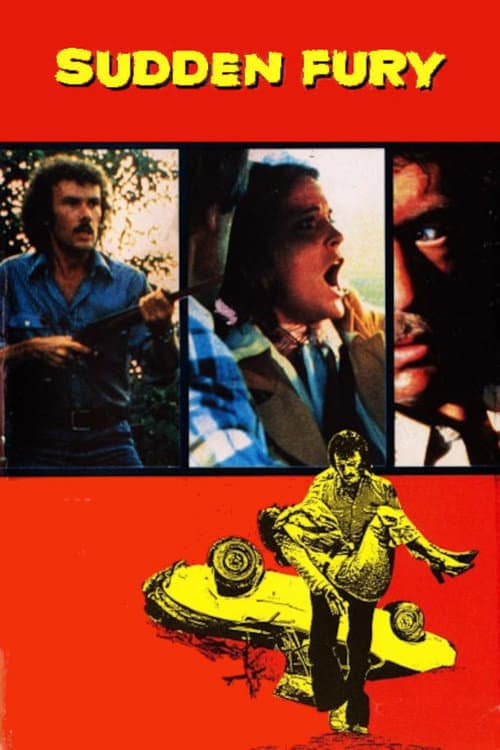 Afiche de Sudden Fury